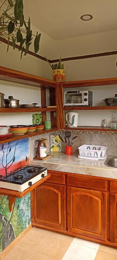 Lidia'S Mountain View Vacation Homes Монте-Верде Экстерьер фото